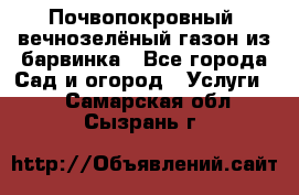 Почвопокровный, вечнозелёный газон из барвинка - Все города Сад и огород » Услуги   . Самарская обл.,Сызрань г.
